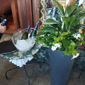 L'esposizione della Pasticceria Pfatisch